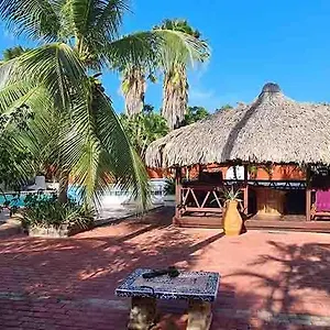 Frühstückspension Woodstock Palmresort Curacao